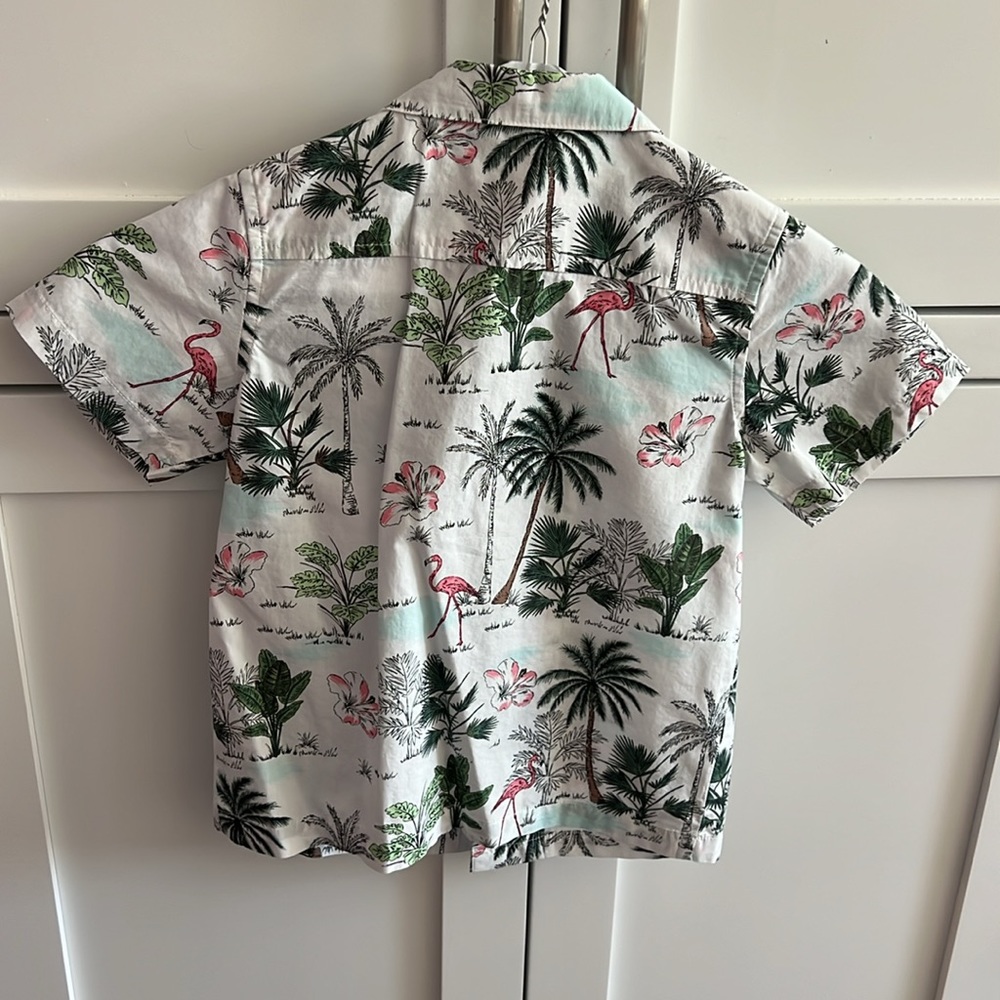 Janie and Jack Button Down